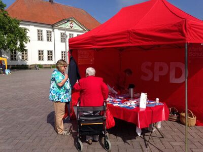Wahlkampf im strahlenden Sonnenschein - was gibt es Schöneres!